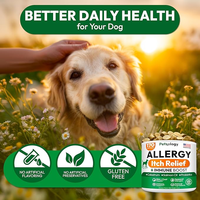 Dog Allergy Relief Chews - 170 Dog Allergy Chews - Itch Relief for Dogs - Omega 3 Fish Oil, Probiotics for Itchy Skin & Hot Spots Allergies, Paw Licking - Dry Skin & Coat Supplement - Immune Health