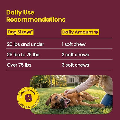 Calming Chews for Dogs – KSM-66 Ashwagandha, L-Theanine & Melatonin – Supports Relaxation & Calm Behavior – Great for Storms, Fireworks, Travel & Vet Visits – Turkey & Beef Flavor