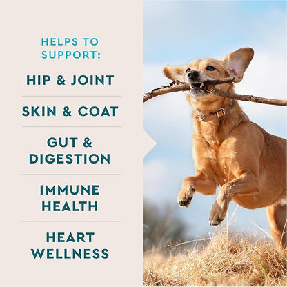 VetIQ 8-in-One Multifunctional Supplement for Dogs, Supports Hip & Joint, Urinary Tract, Immune System, Skin Health and Heart Health, Soft Chews, Made in the USA, 60 Count