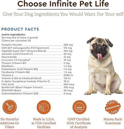 Super Multi-Vitamin Chew with Ashwagandha. Multivitamin for Joint, Skin, Gut, Brain, Bone, Heart & Immune Health - All Natural Ashwagandha, Curcumin, Pumpkin Powder & Vitamin C (90 Chews).