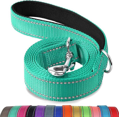 Joytale Dog Leash, 4 FT Double-Sided Reflective, Padded Handle Nylon Heavy Duty Leashes for Small Dogs Walking, Teal
