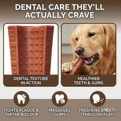 SPOT Bam-Bones Plus Coffee Wood T-Bone Dog Chew Toy, Beef Flavor, Nylon and Coffee Wood Fiber Blend, Durable Chew for Heavy Chewers and Dogs Under 90 lbs, Non-Splintering Dental Chew, 7 Inch