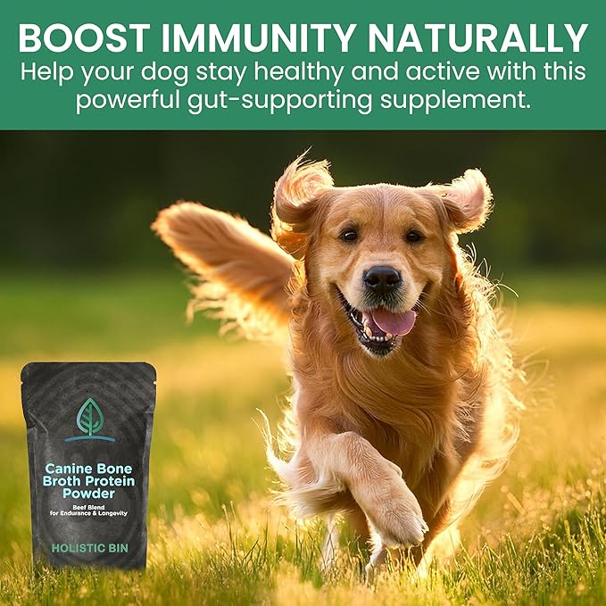 Holistic Bin Canine Beef Bone Broth Protein Powder Dog Food Toppers | Daily Supplement Powder with Bone Broth, Spirulina Nib & Beetroot | Glossy Coat, Joints & Overall Wellness | Beef Blend (50g)