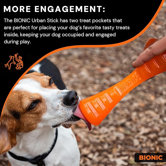 BIONIC Urban Stick Dog Toy, Large - Interactive Dog Chew Toy for Dogs Between 30-60+ lbs. (13-27+ kg.)