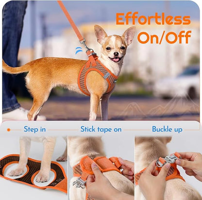 Eagloo Small Dog Harness and Leash Set, Step in Puppy Vest with Breathable Soft Mesh, Walking Reflective Pet Harness for Small Dogs, Orange, XXS