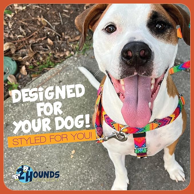 2 Hounds Design Freedom No Pull Dog Harness, Adjustable Harness and Leash Set, Easy Walking & Comfortable Control, Fits Small, Medium & Large Dogs, Solid Colors, Made in USA, 1" XXL, Teal