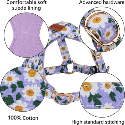 CHEDE No Pull Floral Pattern Dog Harness- Lightweight and Soft Harness, Adjustable Small Dog Harness and Leash Set, with Dog Leash, Suitable for Puppy Small and Medium-Sized Dog (S, Purple Daisy)