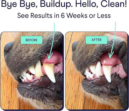 Finn Dental Powder for Dogs | Targets Plaque, Tartar & Bad Breath