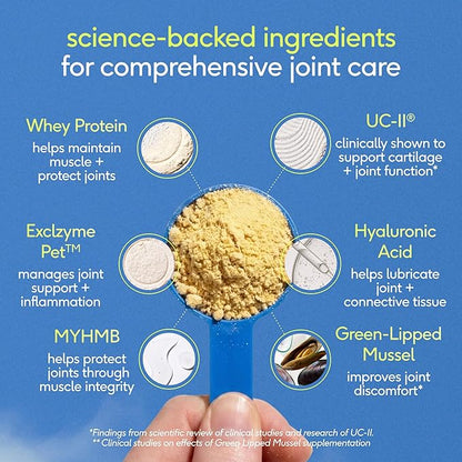 Native Pet Hip & Joint Advanced Care Dog Joint Supplement Powder for Mobility & Movement Support, Joint Supplement for Dogs with HMB, UC-II Collagen, Green Lipped Mussel & Hyaluronic Acid – 60 Scoops