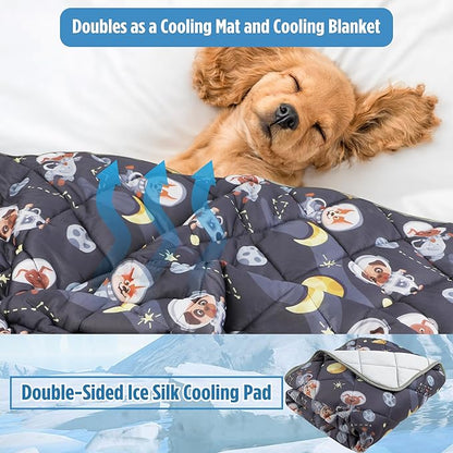 Paw Legend Dog Cooling Mat for Dogs Cat Cooling Pad for Dog Pet Cooling Mat Cooling Blanket Summer Cool Tech Fabric Washable Dog Sleeping Pad on Kennel Sofa Bed Floor Car Seats, Large