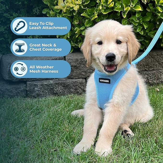 Best Pet Supplies Voyager Step-in Air All Weather Mesh Harness and Reflective Dog 5ft Leash Combo with Neoprene Handle, for Small, Medium and Large Breed Puppies - Set (Baby Blue), XX-Small