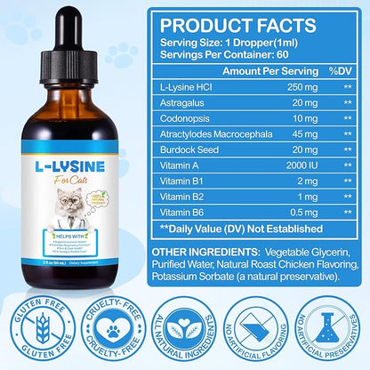 Lysine for Cats Supplement – Immune System & Respiratory Health Support for Cats & Kittens 2floz– Eye Discharge, Sneezing Relief – Tasty Easy-Mix Formula – Daily Cat Lysine for Stronger Immunity