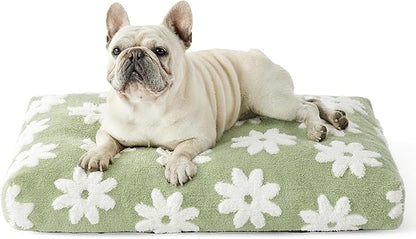 LE SURE Dog Beds Medium Size-Thick Shredded Chopped Foam Pet Bed as Gift for Indoor with Removable Cover, Cute Modern Fuzzy Plush & Anti Slip Bottom, Green