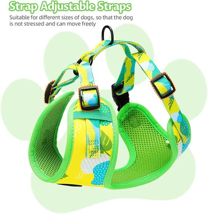 Small Dog Harness and Leash Set of 6, No Pull Soft Lightweight Mesh Puppy Harness， Adjustable Cute Floral Pattern Pet Harness for Small Medium Dogs (Green Leaf, S)