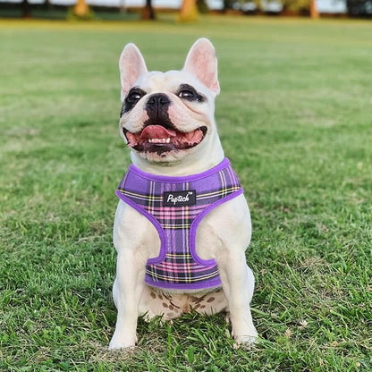 PUPTECK Soft Mesh Dog Harness and Leash Set Pet Puppy Cat Comfort Padded Vest No Pull Harnesses, Purple, L