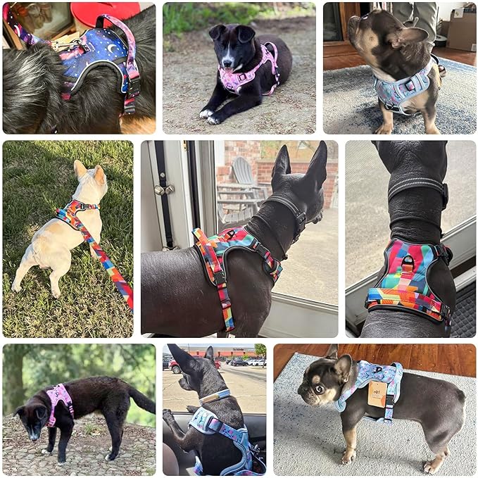 BEAUTYZOO No Pull Dog Harness Large, Adjustable Dog Harness and Leash Set -Easy Wearing with 3 Buckles/Control Handle,No Choke Soft Padded Reflective Pet Vest for Training Walking Hiking,Rose XL