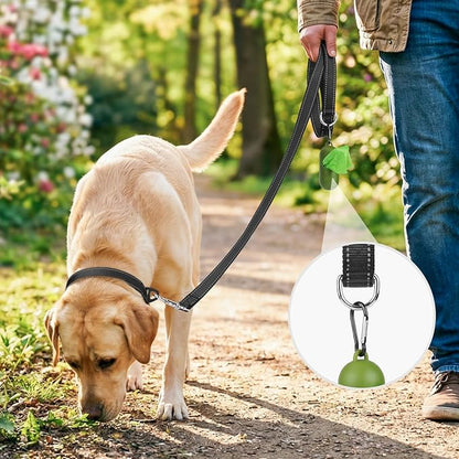 Joytale Dog Leash, 6 FT Double-Sided Reflective, Padded Handle Nylon Heavy Duty Leashes for Medium & Large Dogs Walking, Black