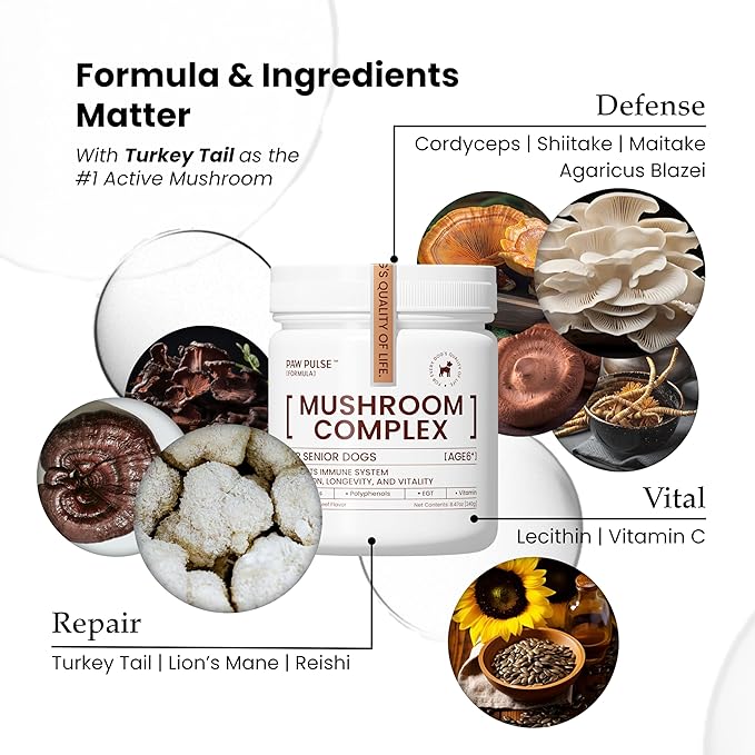 Pawpulse Formula Turkey Tail Mushroom for Dogs - Lipoma, Lumps & Bumps Defense - 7-in-1 Functional Immune Support with Reishi & Lion's Mane - Brain, Vitality, Gut Health & Longevity - 80 Soft Chews
