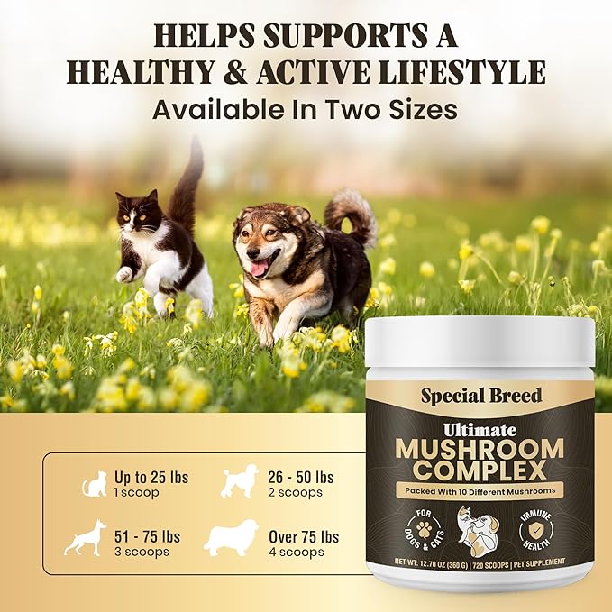 Mushroom Powder for Dogs & Cats - Organic Mushroom Complex for Immunity Support, Immune, Cognition, Vitality - Ten Mushroom Supplement with Turkey Tail, Lion's Mane, Reishi - 360 Gram (Pack of 2)