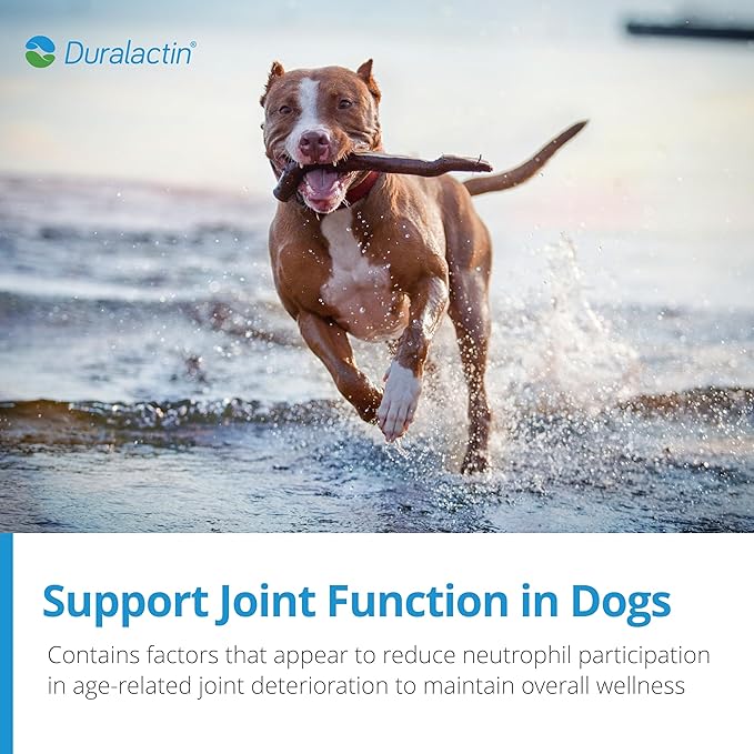 PRN Pharmacal Duralactin Canine Joint Plus Soft Chews - Joint Health Supplement for Dogs & Puppies - Pet Mobility Support - 60 Soft Chews