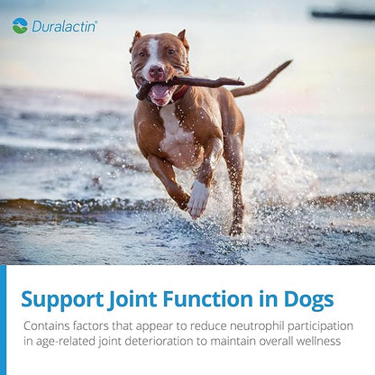 PRN Pharmacal Duralactin Canine Joint Plus Soft Chews - Joint Health Supplement for Dogs & Puppies - Pet Mobility Support - 60 Soft Chews