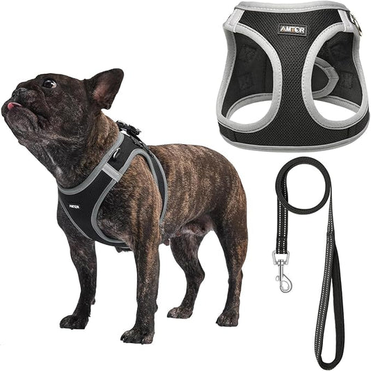 AMTOR Small Dog Harness with Leash Set, No Escape Easy Walk Puppy Harnesses for Training Walking, Step-in Reflective Soft Dogs Vest for XS S Medium Extra-Small Large Sized Dog(XXS,Black/Grey)