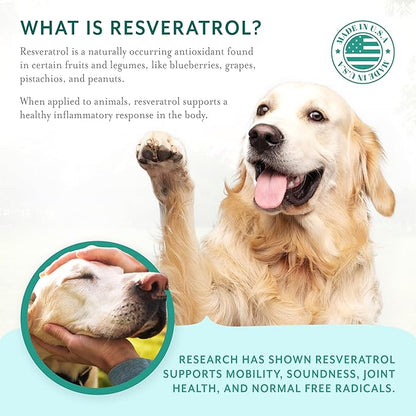 Dog Hip and Joint Support Supplement Soft Chews with Resveratrol, Glucosamine, Chondroitin, Hyaluronic Acid, Bacon Flavor, Large Breed