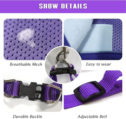 FEimaX Dog Harness and Leash Set, No-Pull Breathable Soft Mesh Puppy Vest Harness Reflective Adjustable Pet Harnesses for Small Medium Dogs and Cats - Outdoor Easy Control for Walking
