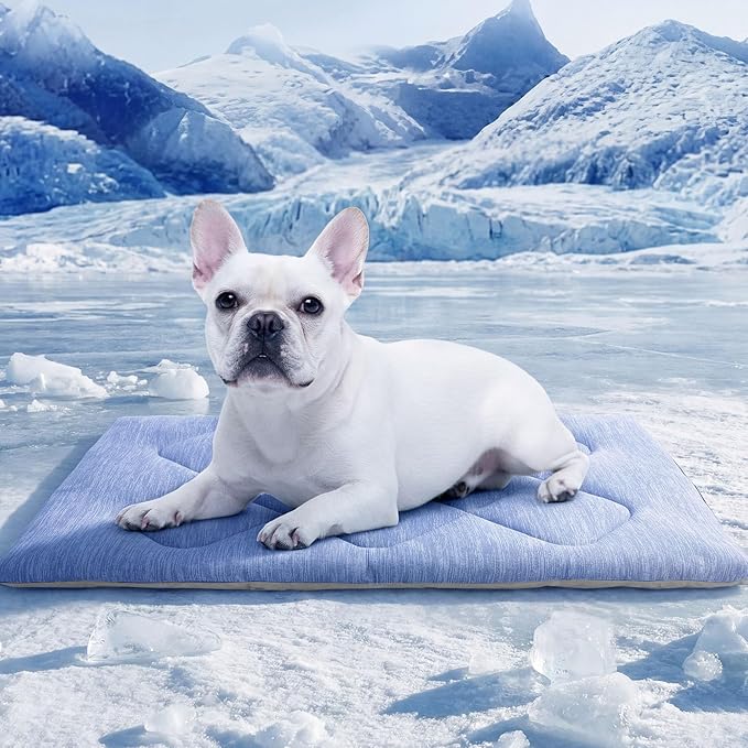 Dog Cooling Mat, Portable & Durable Cooling Mat for Dogs, Physical Heat Absorption, Summer Anti-Slip Cooling Bed for S-Medium Dogs up to 35 lbs (French Bulldog, Beagle), 32x20 inches, Blue Diamond