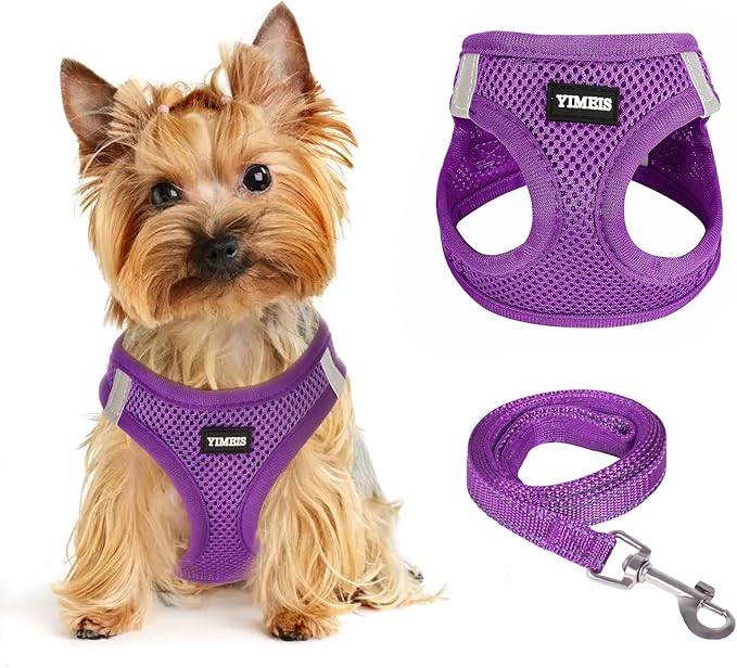 Dog Harness for Small Dogs and Leash Set, Honeycomb Grid, Reflective Lightweight Harness & Anti-Twist Pet Lead (Multi Color, Size: XS-S-M) (S, Purple)