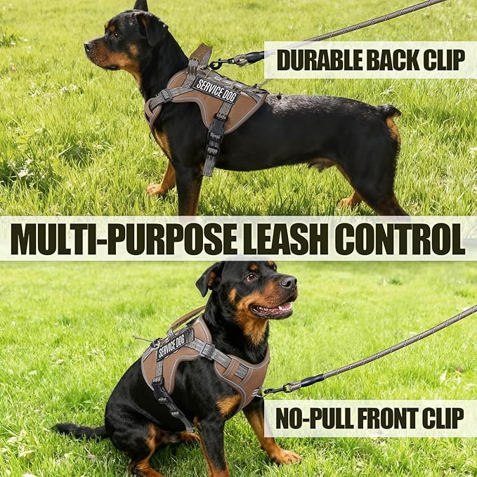 Service Dog Tactical Vest Harness and Leash Set Medium Sized Dog Emotional Support- Tactical Dog Harness Training Collar with Name (Khaki, L)