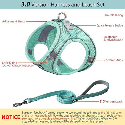 AIITLE Easy Walk Dog Harness and Leash Set - Pet Supply No Pull, Step in Adjustable Dog Harness with Padded Vest, No Choke Over, Easy to Put on Medium Dogs Pure Turquoise L