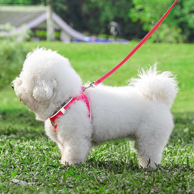 Hipubby Dog Harness Small Sized and Leash Set, No Pull Soft Mesh Puppy Vest, Reflective Breathable Lightweight Pet Harness, Harness for Small Medium Dogs and Cats - Rose Red/Khaki Trim, L