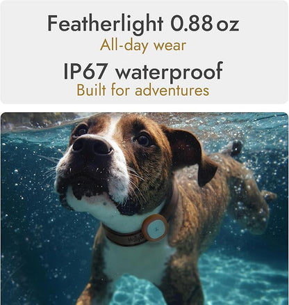 Molly&Cody GPS + Bluetooth Pet Tracker for Cats & Dogs – Real‑Time Tracking, Virtual Fence, IP67 Waterproof, Up to 60‑Day Battery, Health Monitoring, iOS/Android – Subscription Required (Gold)