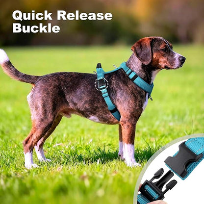 No Pull Dog Harness with Handle, Soft Mesh Padded Adjustable for Small Medium Large Dogs | Reflective Easy Walk Harness with Front Clip for Training, Running & Outdoor (Cyan, XL)