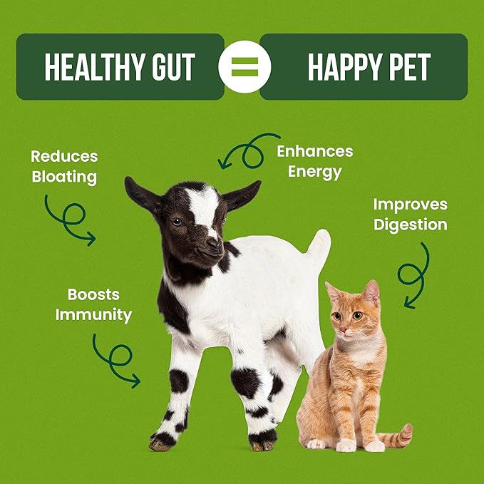 Pet Probiotics for Dogs, Cats, Horses, Goats, Cows & Pigs | Multi Species Dispersible Powder | Supplements for Digestive Health | Cat & Dog Probiotics | Vet Approved & Made in USA | 10 oz | Pair Pet
