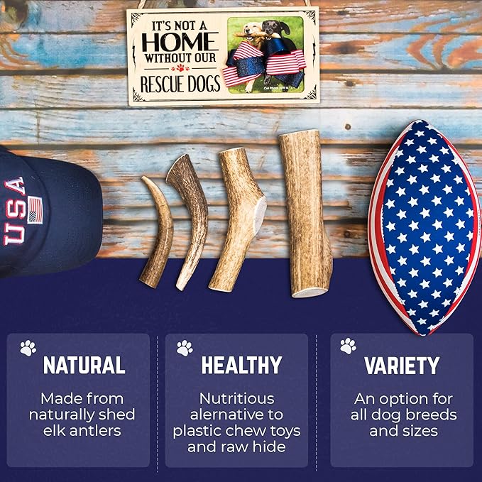 Devil Dog Pet Co - Elk Antler for Dogs Large - Long Lasting Natural Dog Chew for Aggressive Chewers, Medium Breeds - Naturally Shed Grade A Rocky Mountain Elk, Reduces Anxiety & Boredom (35-60 lbs)