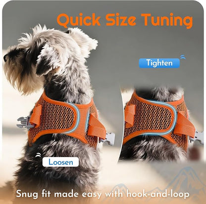 Eagloo Small Dog Harness and Leash Set, Step in Puppy Vest with Breathable Soft Mesh, Walking Reflective Pet Harness for Small Dogs, Orange, L