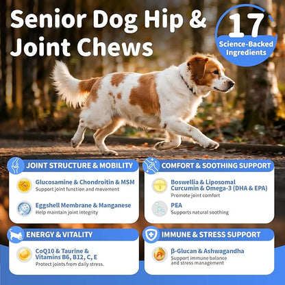 Senior Advanced Joint Supplement for Dogs – 17-in-1 Glucosamine for Dogs with Chondroitin – Hip & Joint Pain Relief Pills – Mobility Support Chews – Large & Small Breeds - Beef Flavor – 90Ct