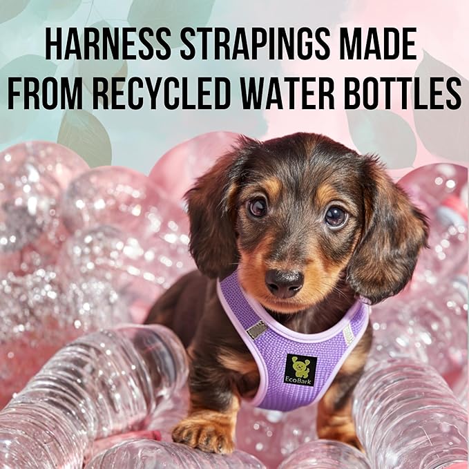 EcoBark Step in Dog Harness - Eco-Friendly Dog Harnesses for Small and Medium Breed Dogs - Reflective and Adjustable Body Halter Vest - Soft Mesh Toy Breed Harness (Lavender, Medium)