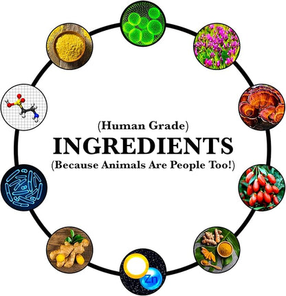 Anti-Aging & Immune Support | Organic, Human-Grade Ingredients | Medicinal Plants & Mushroom Extracts | Omega 3's, Antioxidants, Probiotics, Vitamins & Minerals | Plant-Based & Vegan