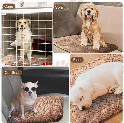 Drydiet 4 Pack Self Warming Cat Bed Mat Self Heating Pad for Dog Extra Warm Winter Pet Pad Washable Thermal Pads Mats for Pets Indoor Outdoor(Camel,16 x 20 Inch)