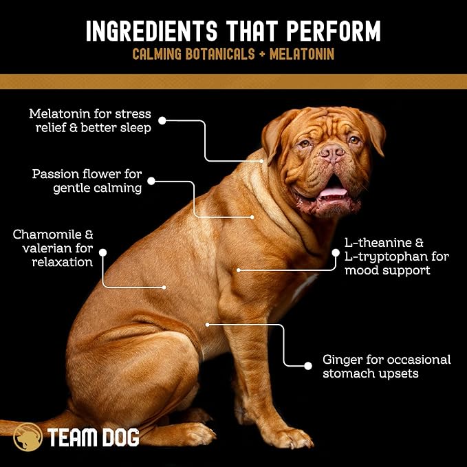 TEAM DOG Calming Chews - Anxiety Relief Treats | Natural Calming Bites with Melatonin, Chamomile, Valerian & Passion Flower | 120 Soft Chews for Large & Small Dogs | Delicious Peanut Butter Flavor