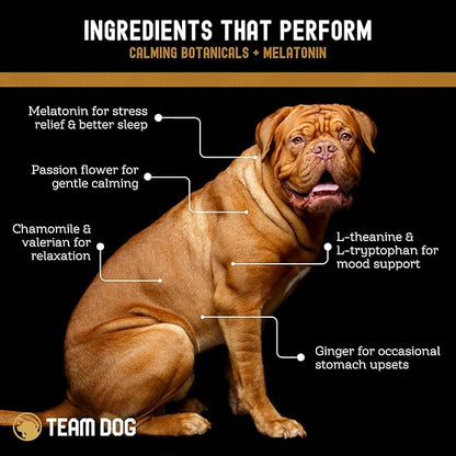 TEAM DOG Calming Chews - Anxiety Relief Treats | Natural Calming Bites with Melatonin, Chamomile, Valerian & Passion Flower | 120 Soft Chews for Large & Small Dogs | Delicious Peanut Butter Flavor