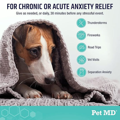 Pet MD Calming Chews for Dogs – Supports Relaxation & Calm Behavior – with Melatonin, Ginger & Chamomile – for Stressful Situations Like Travel, Thunder & Vet Visits – 60 Ct