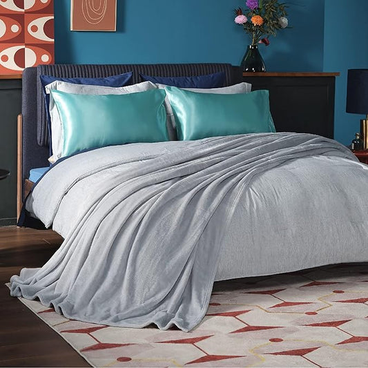 Bedsure GentleSoft Fleece Bed Blankets Full Size Light Grey - Soft Lightweight Plush Fuzzy Cozy Luxury Blanket Microfiber, 84x90 inches