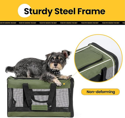 Conlun Cat Carrier Airline Approved, Soft-Sided Dog Carrier with Inner Safety Leash, Pet Transport Carrier for Small-Medium Cats Puppies up to 15 Lbs, Collapsible Travel Kitten Carrier Bag -Green M