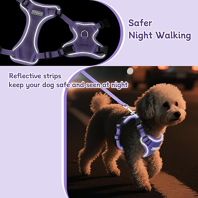 Small Dog Harness and Leash Set, Reflective Soft Breathable Mesh Vest, 3 Buckles, Adjustable Neck and Chest,Step in Dog Harness for Walking, Running, Training, Purple, XS