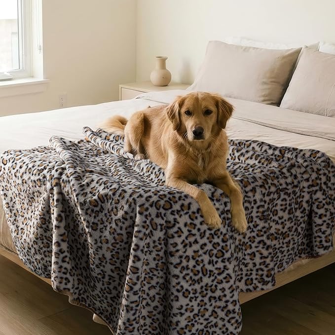 Waterproof Blanket for Bed, Couch, or Car - 60” x 80” Reversible Queen Size Throw Blanket for Reliable Leakproof Furniture Protection - Washable Pet Throws by Lavish Home (Leopard Print)