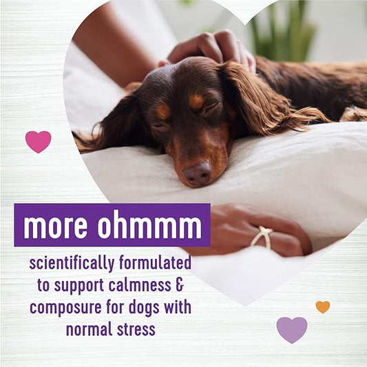 Wellness Tasty Cheese Flavored Soft Chews Calming Supplements for Dogs, 45 Count